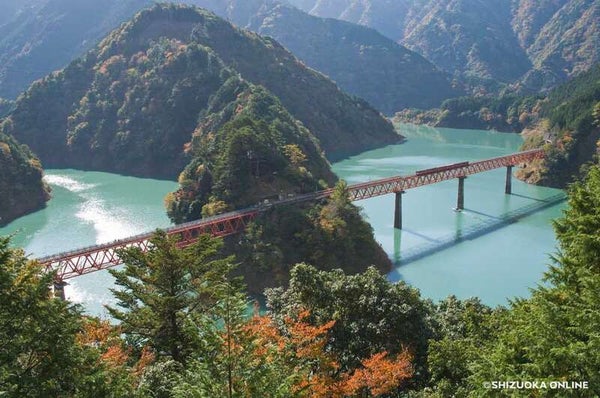 【山梨県内発】 湖上に浮かぶ駅「奥大井湖上駅」へ!桜咲く!春の「大井川鐵道」列車&日本唯一のアプト式列車に乗車 日帰り1